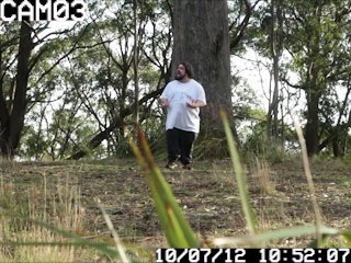 Trey snapshot from the second link